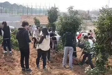 kaiyun开云官方网站节能植树节植树活动 kaiyun开云官方网站节能植树节植树活动